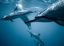 大众娱乐手机app下载：让碎片时间化作高质量休闲的秘密武器